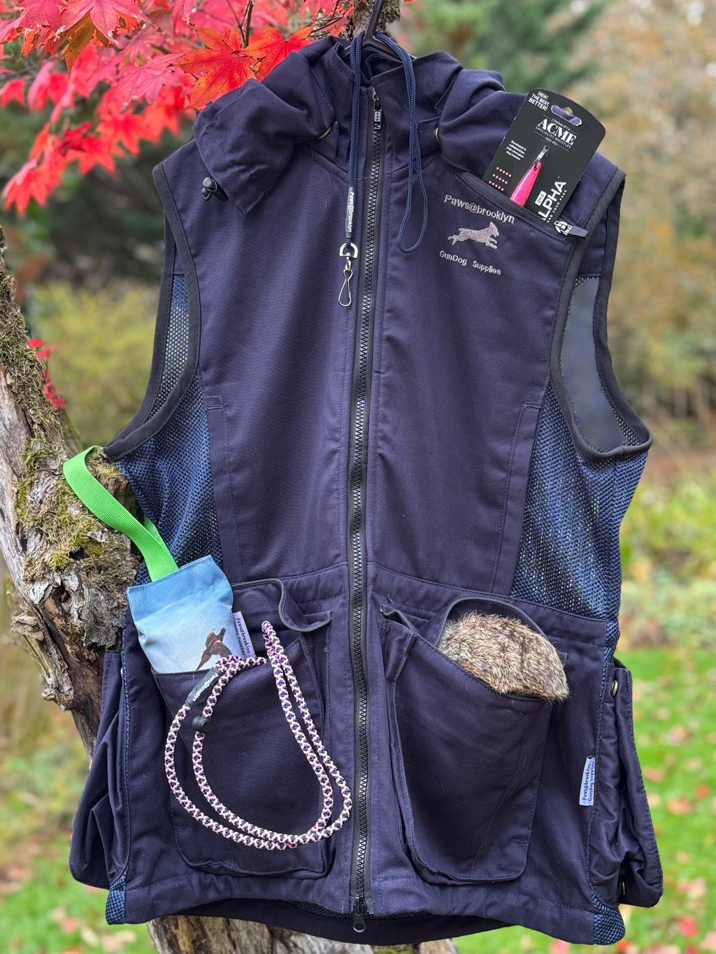 Paws@brooklyn Winter Special Offer