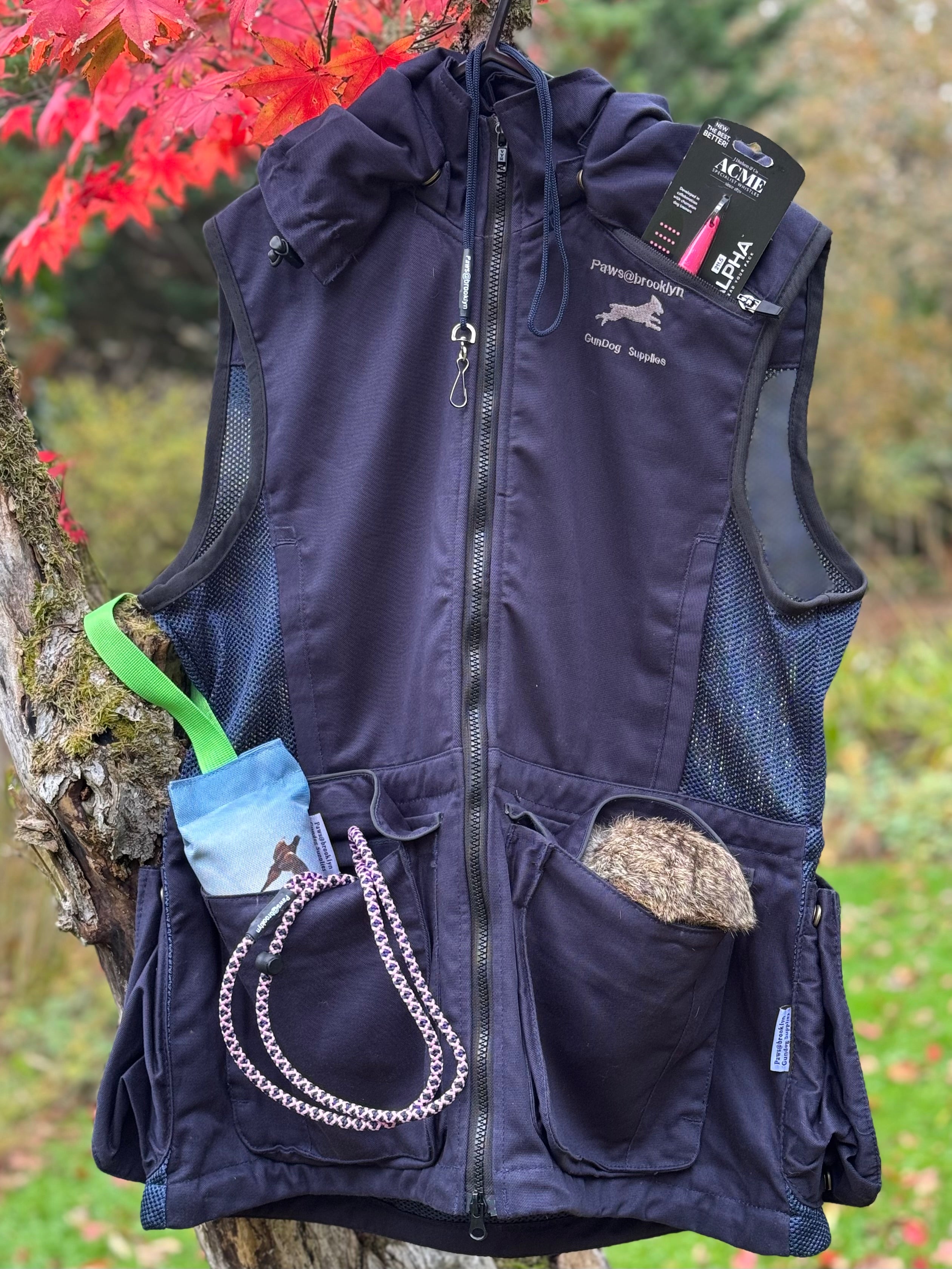 Paws@brooklyn Winter Special Offer