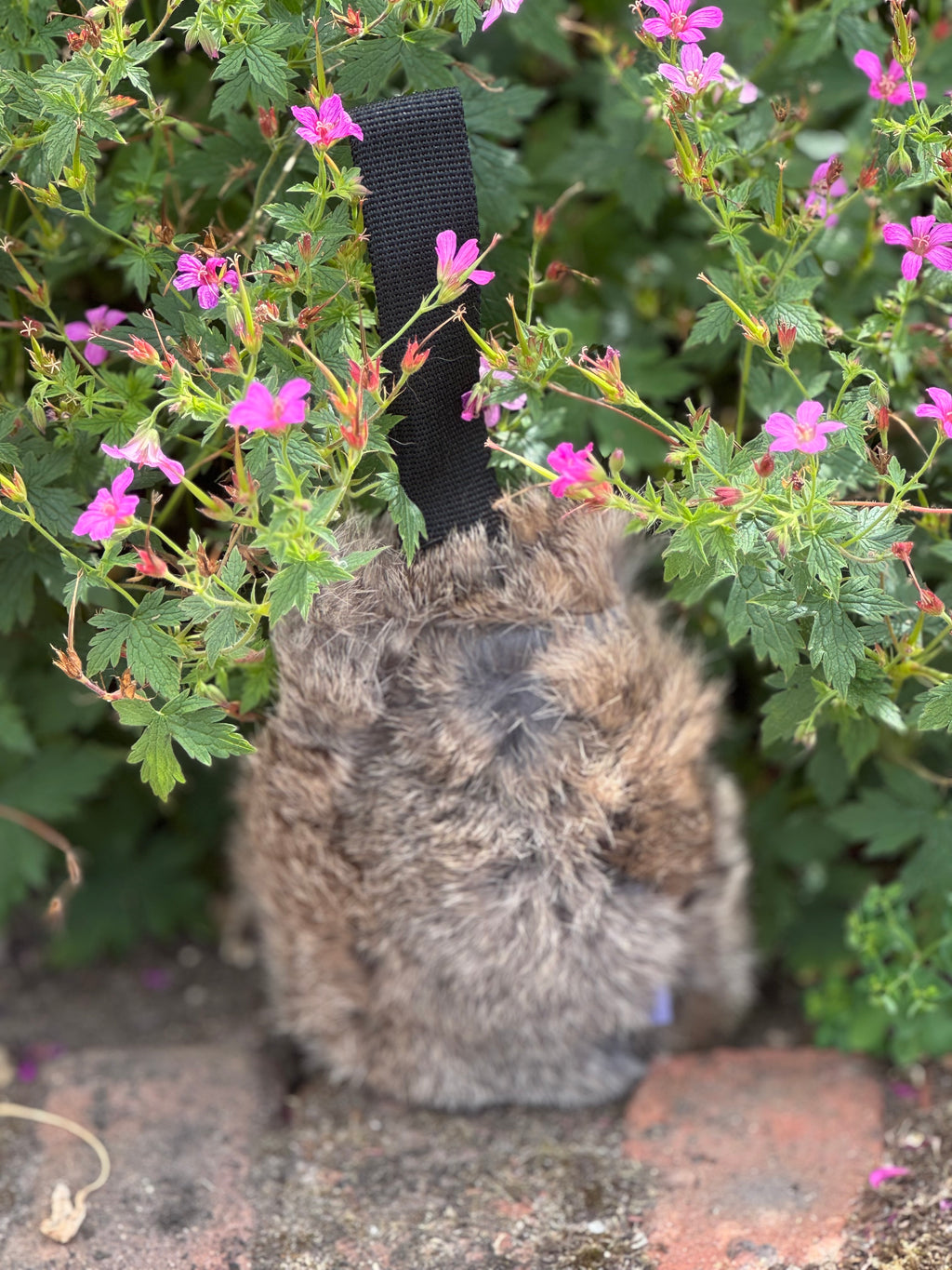 Paws@brooklyn Rabbit Dummy Balls with Throwing Straps