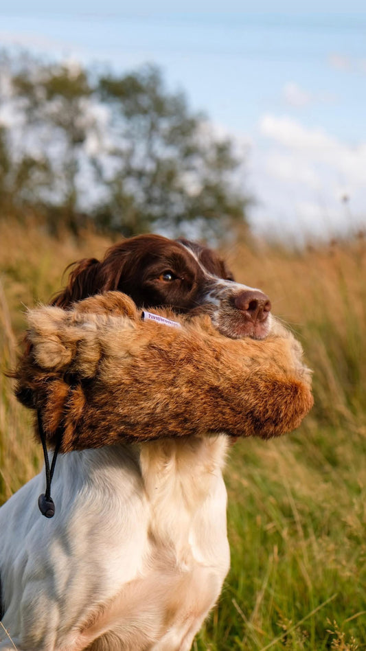 Paws@brooklyn Rabbit Dummies