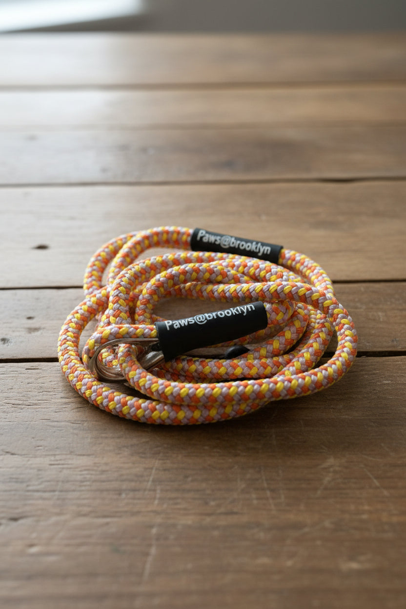 Paws@Brooklyn The Slip & Go 6mm Slip Lead