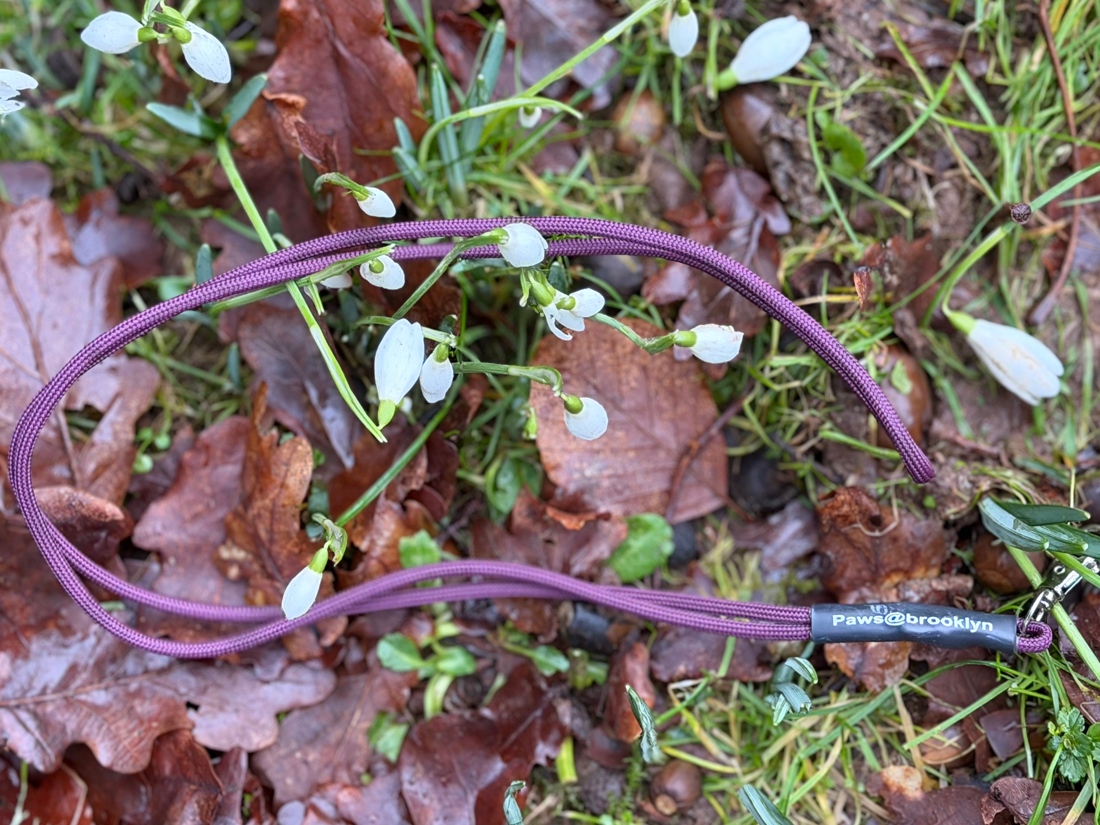 Paws@brooklyn Lanyards