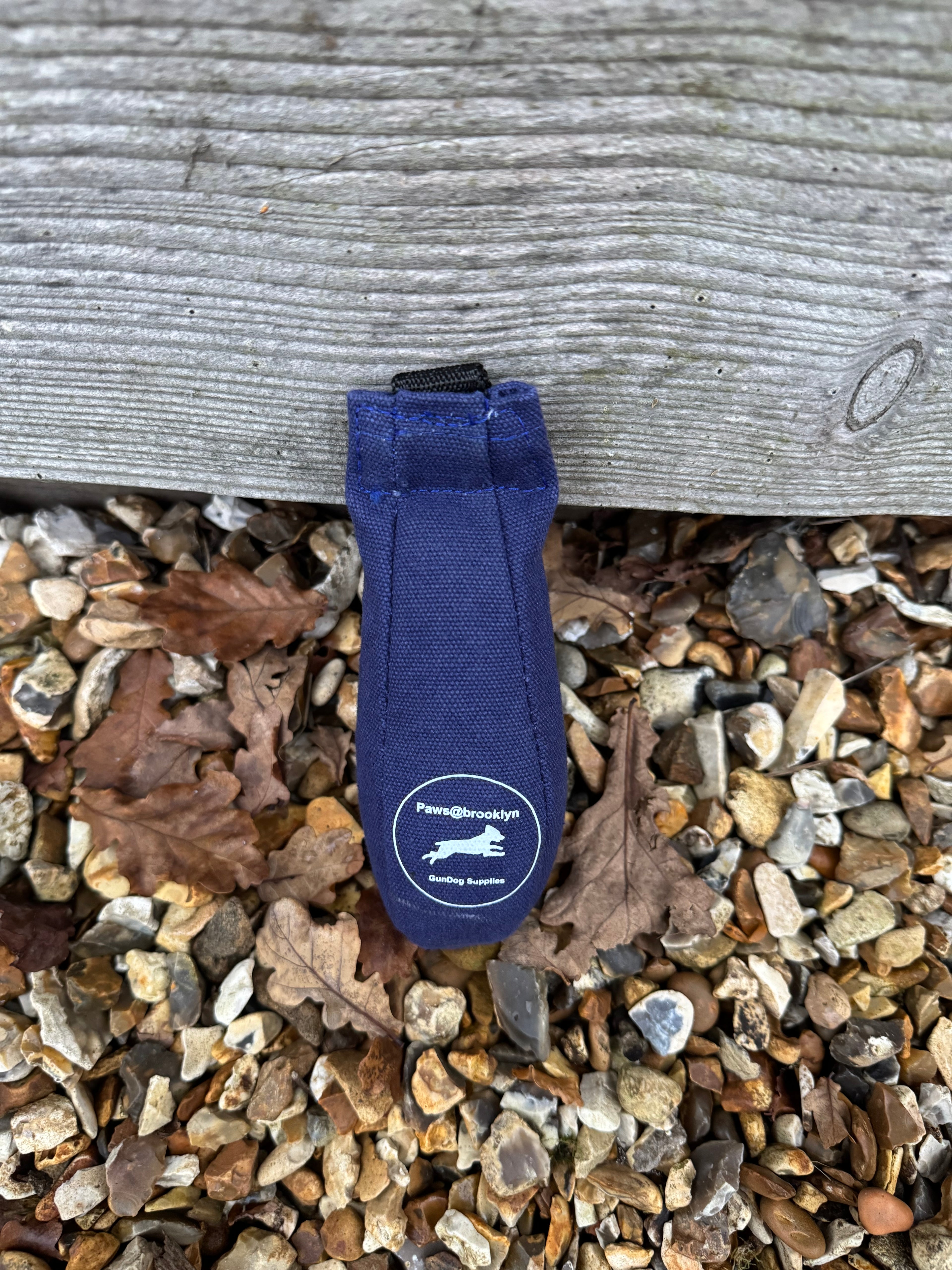 Paws@brooklyn Speedy Dummy Balls