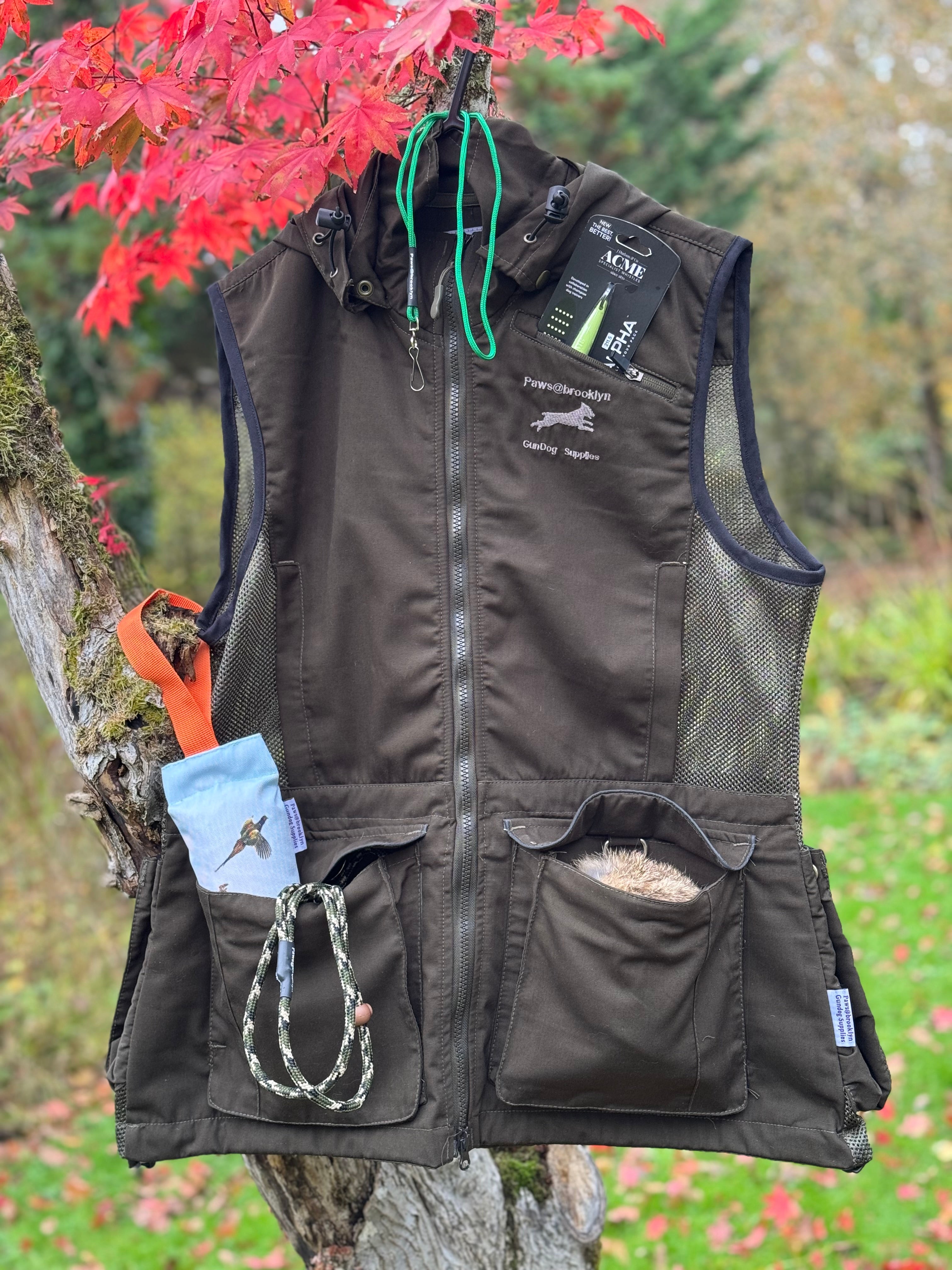 Paws@brooklyn Winter Special Offer