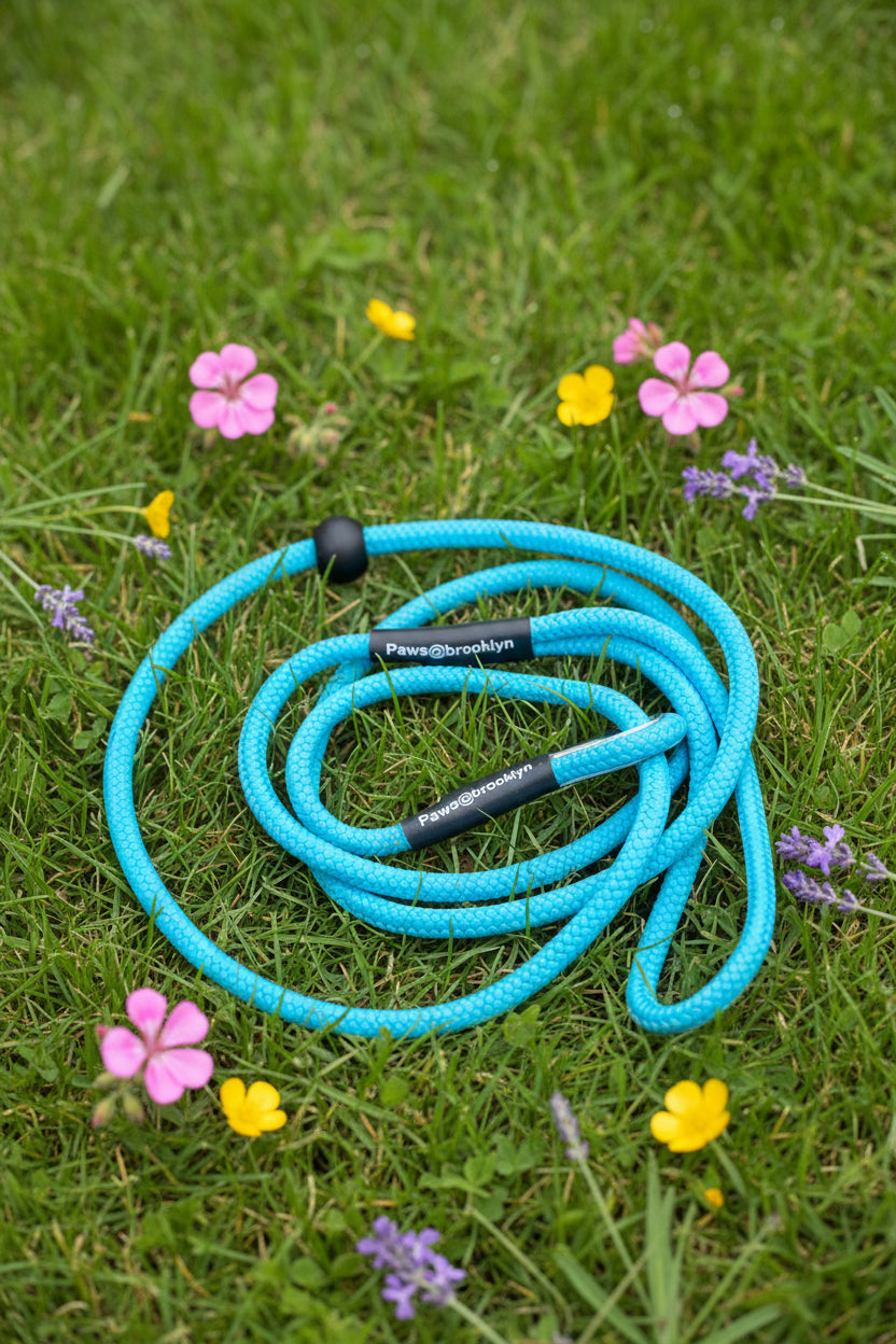 Paws@Brooklyn The Slip & Go 6mm Slip Lead