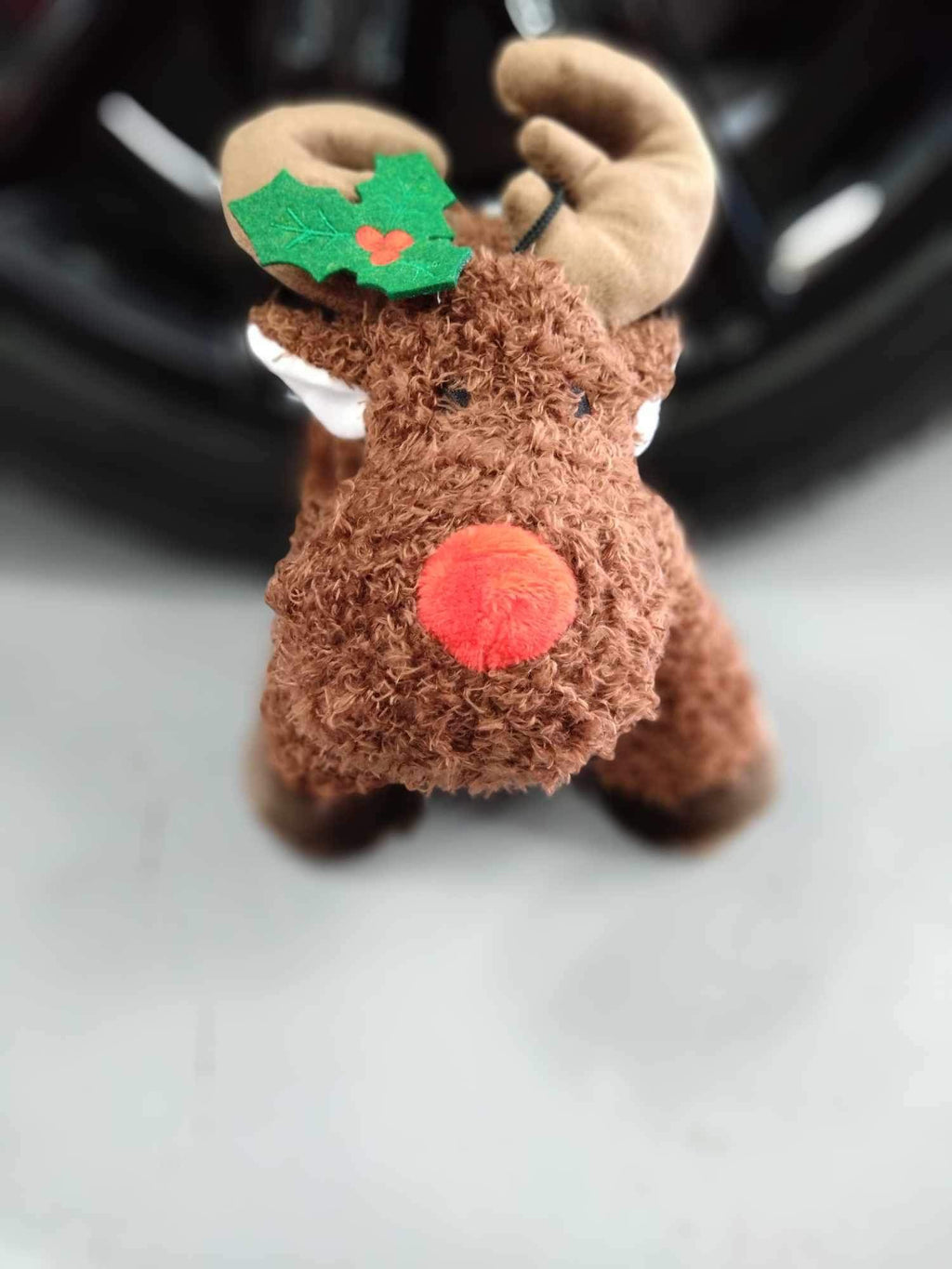 Dog Toys