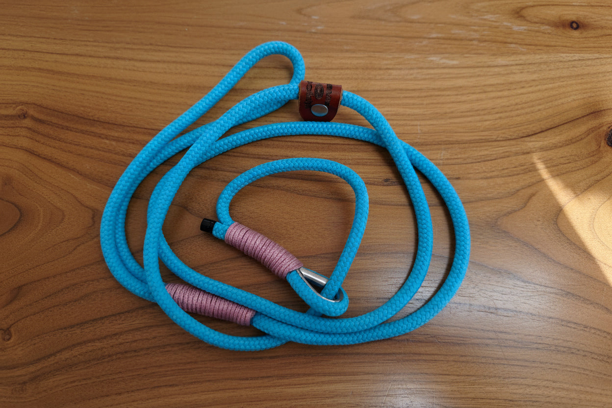 Paws@Brooklyn Orchard Collection Slip Leads