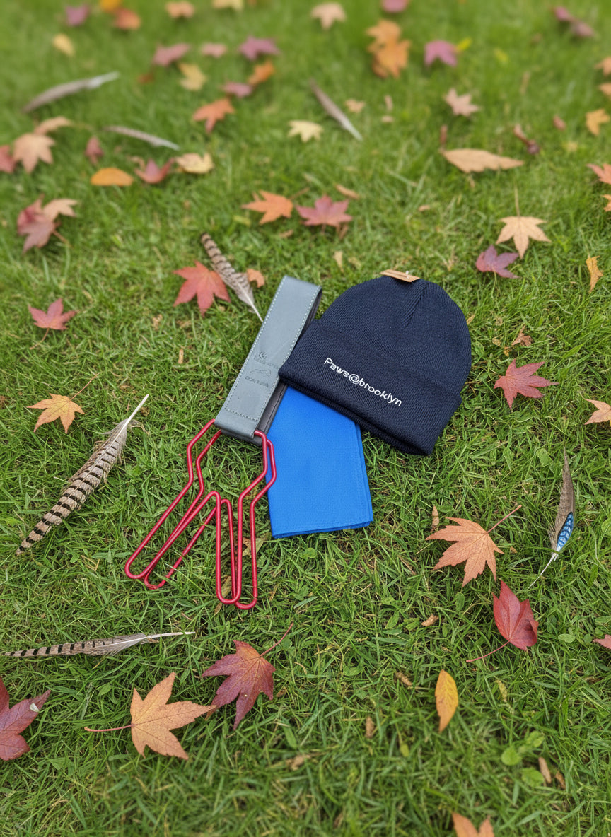 Paws@brooklyn Christmas Special Offer for Handlers