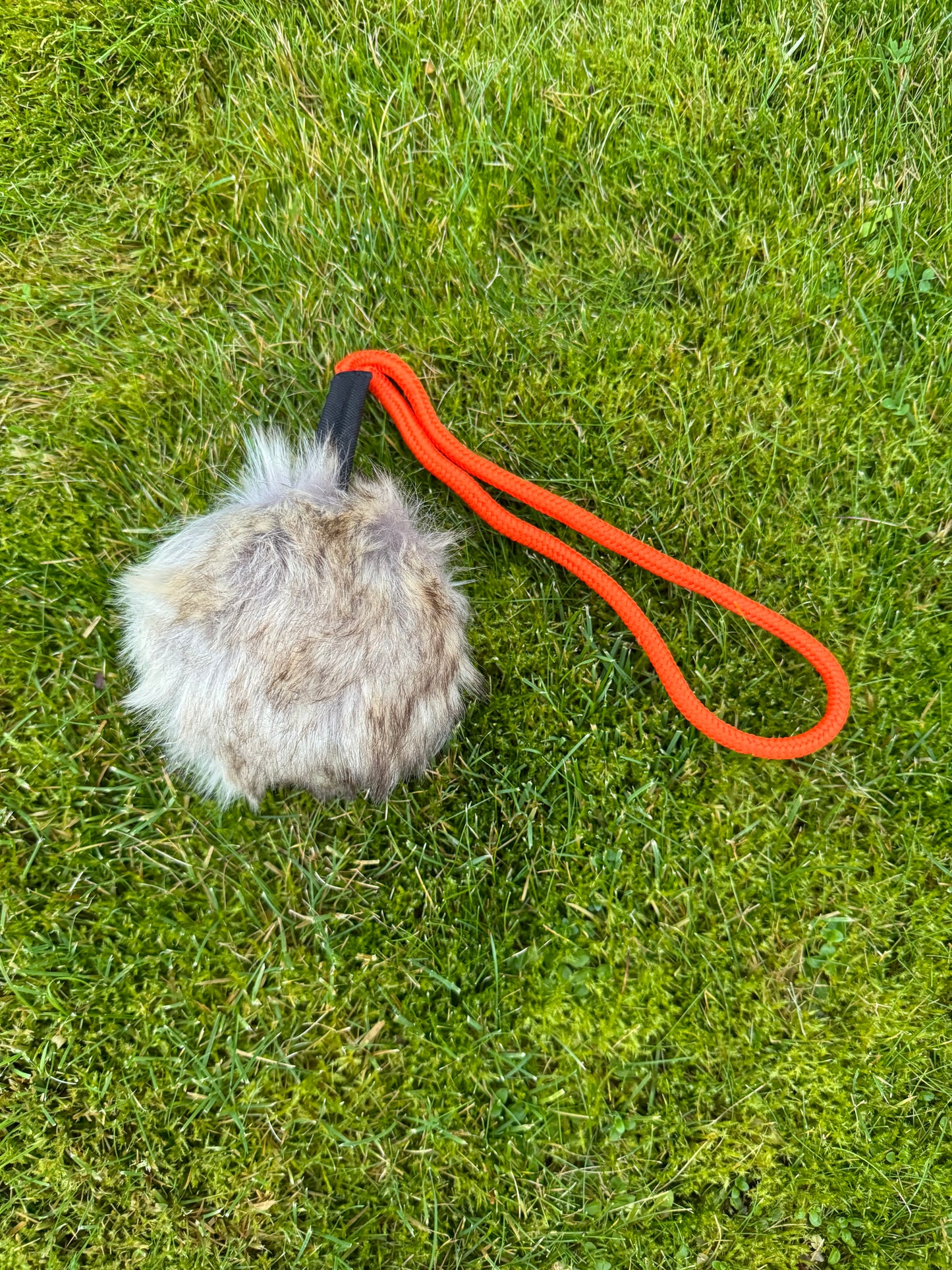 Paws@brooklyn Rabbit Balls with throwing handle