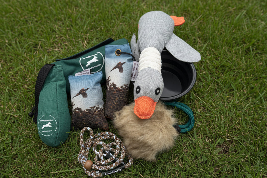 Paws@brooklyn Puppy Packs