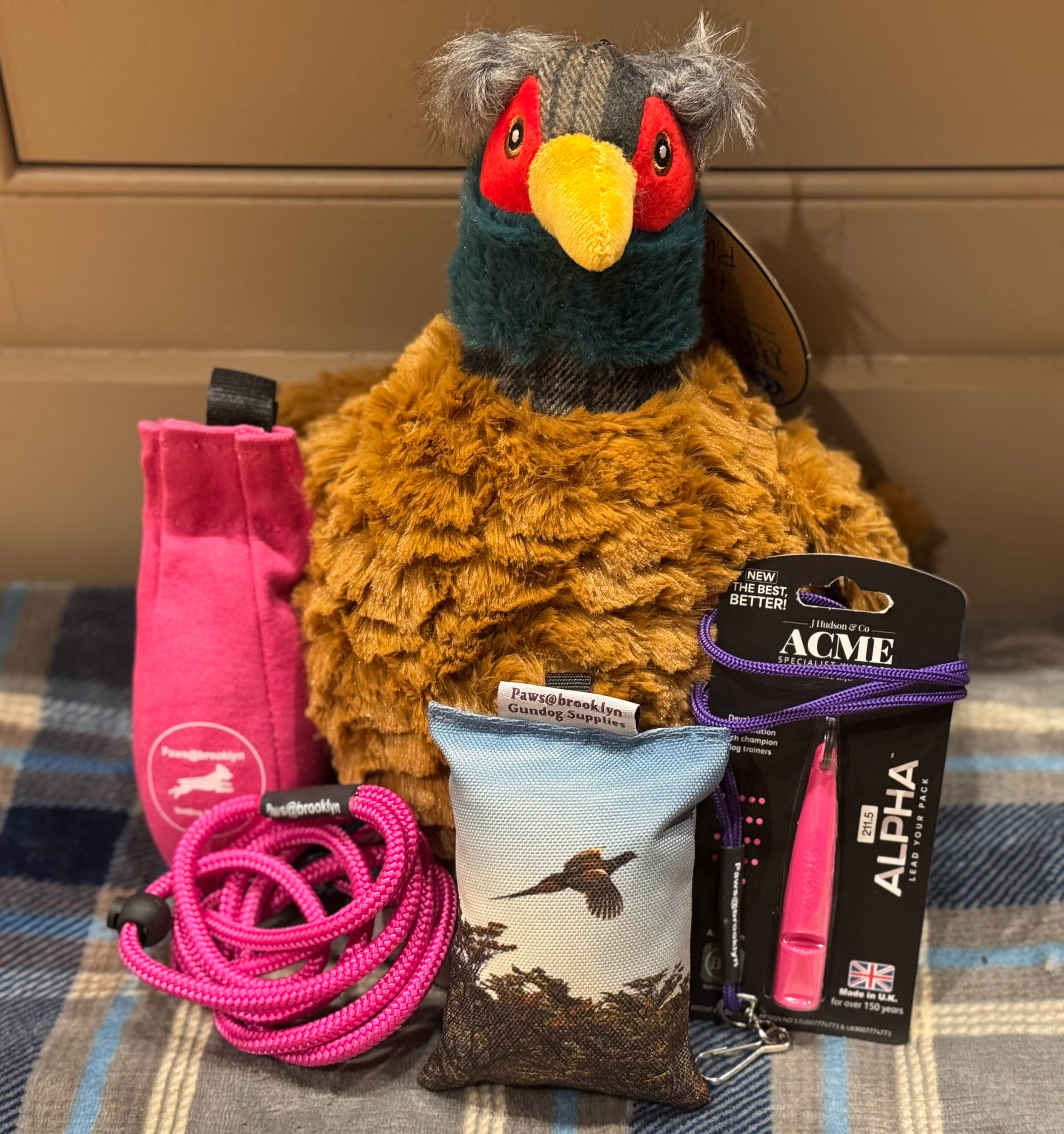 Paws@brooklyn Puppy Packs