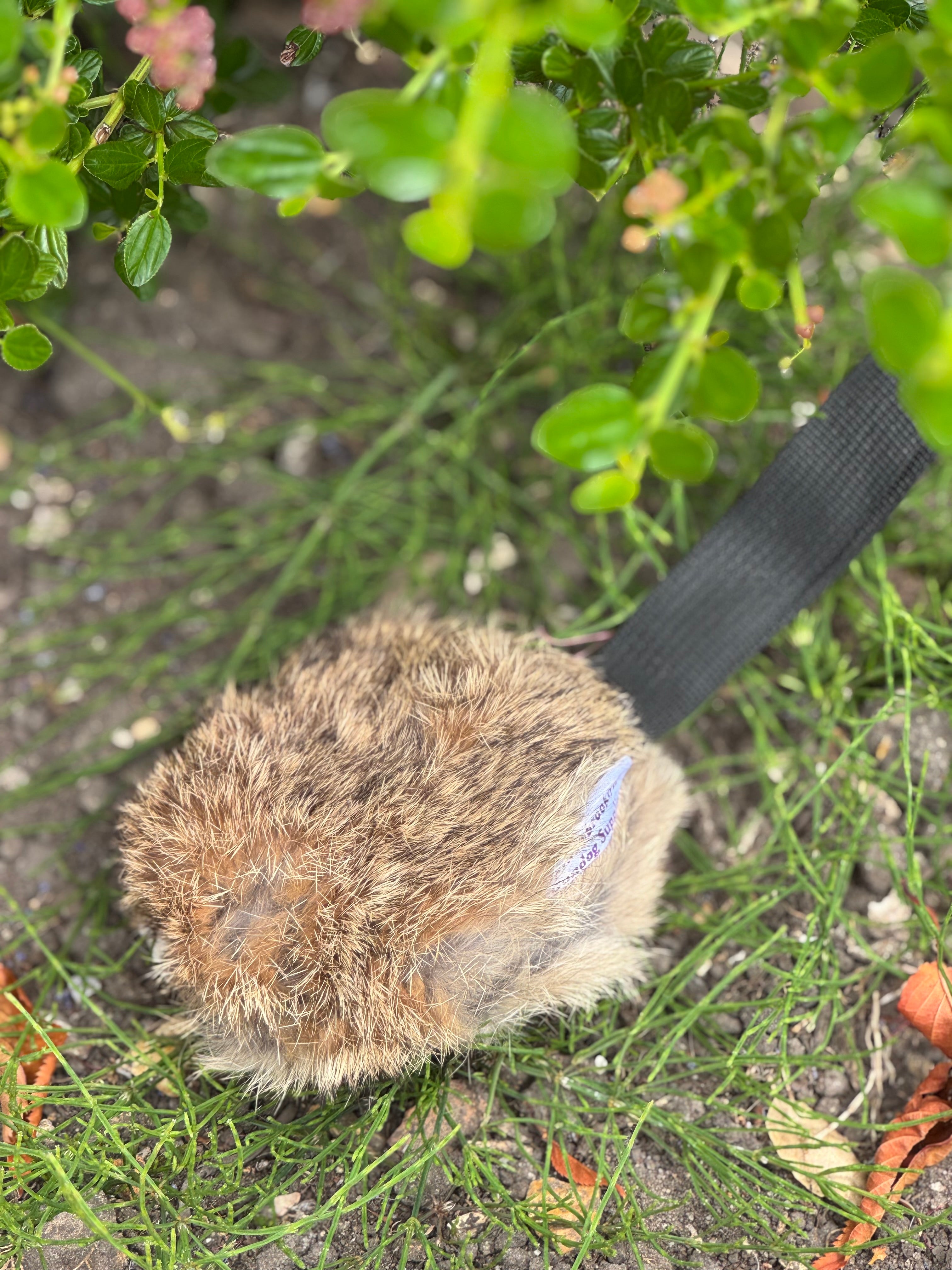 Paws@brooklyn Rabbit Discs with throwing strap