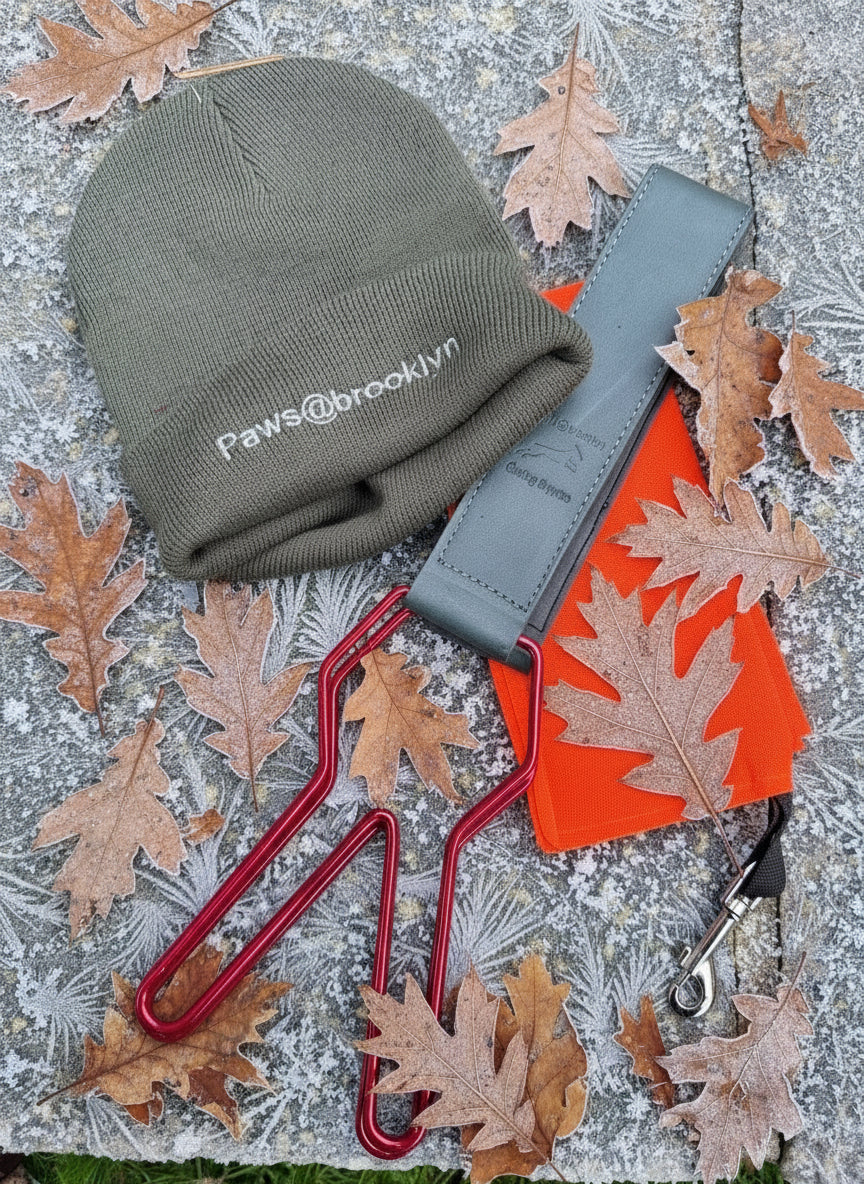 Paws@brooklyn Christmas Special Offer for Handlers