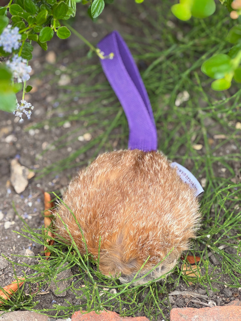 Paws@brooklyn Rabbit Discs with throwing strap