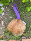 Paws@Brooklyn Rabbit Hunting Discs with Throwing Strap