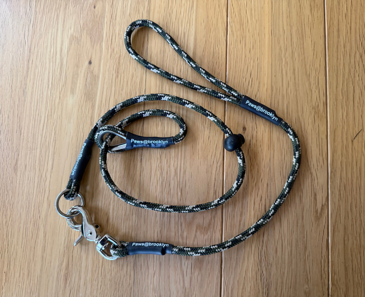 6mm Swivel Lead