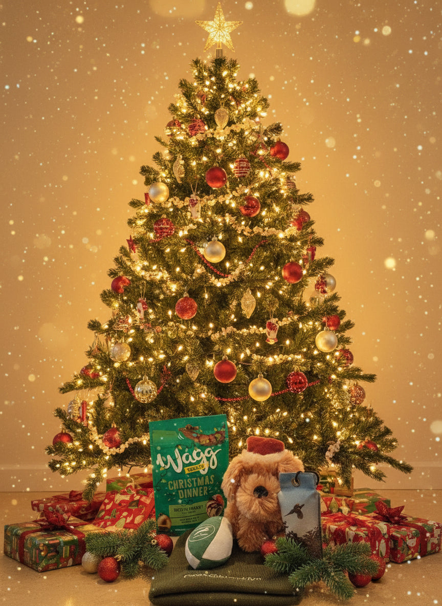 Pawsbrooklyn Christmas special offer for Dog and Handler