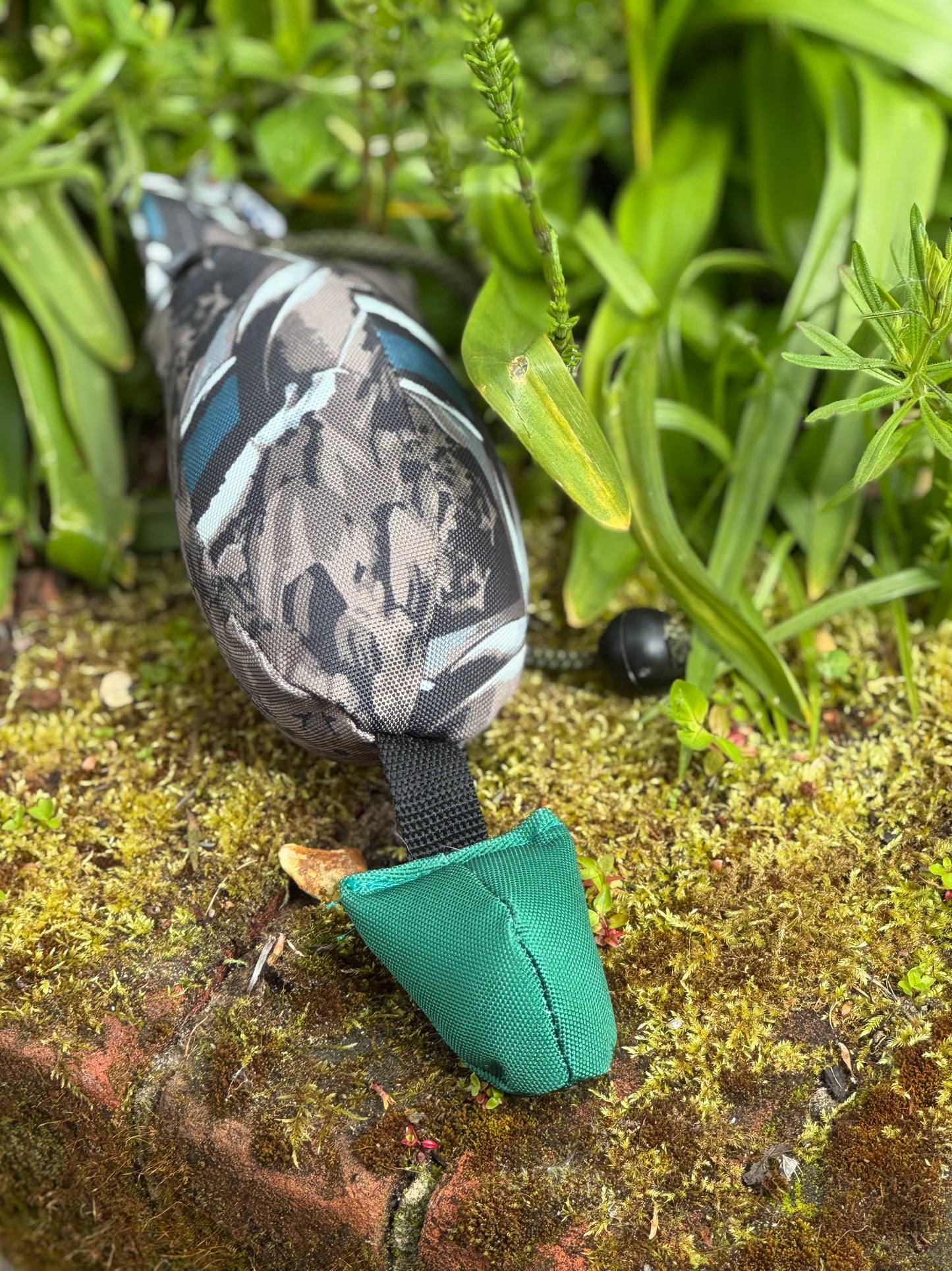 Sporting Saint Canvas Birds