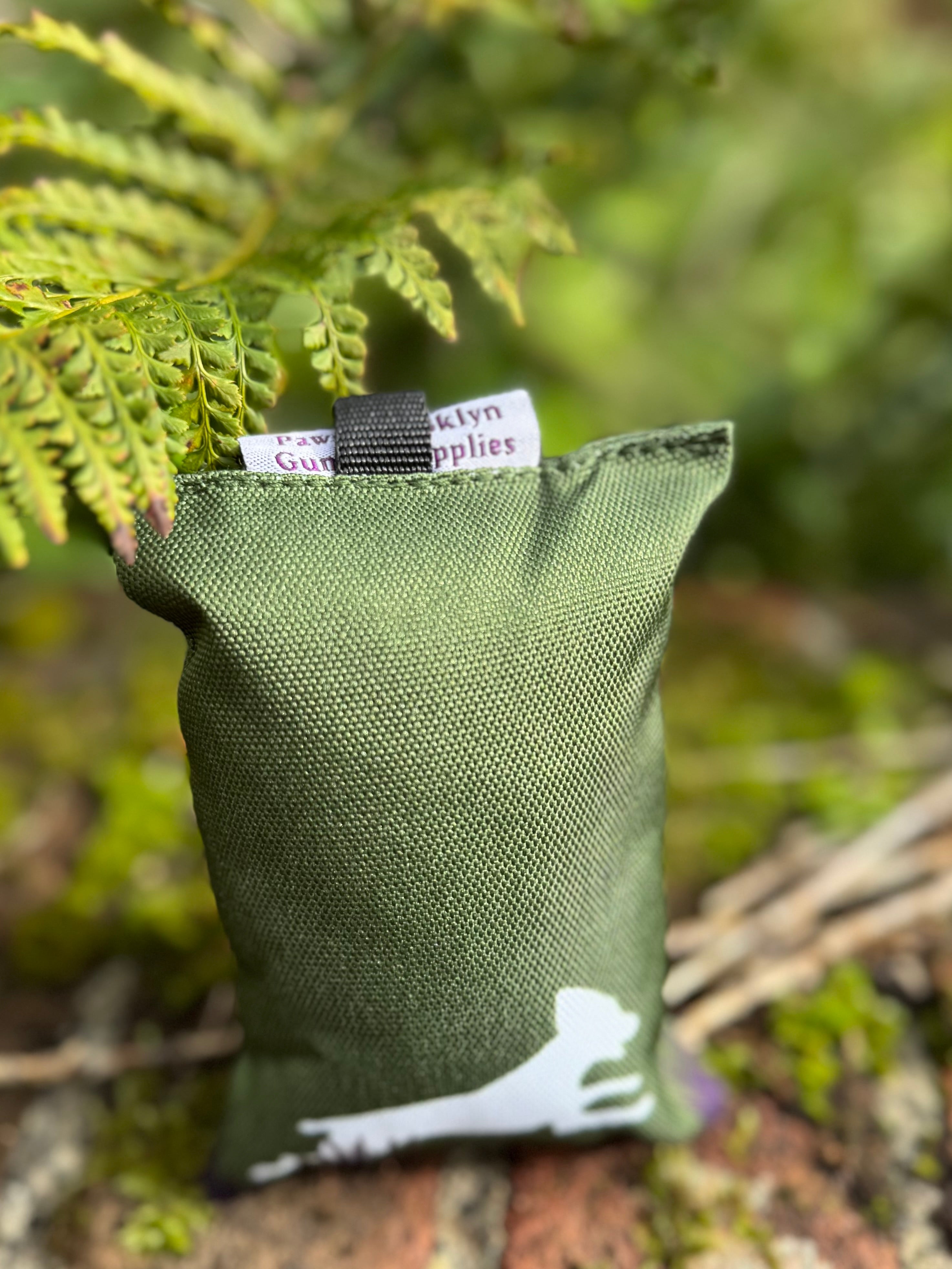 Paws@brooklyn Puppy Dummies