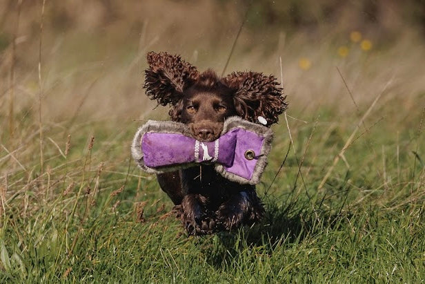 Paw@brooklyn 1/2 Fur/Canvas Dummies