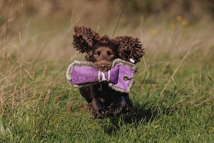 Paw@brooklyn 1/2 Fur/Canvas Dummies