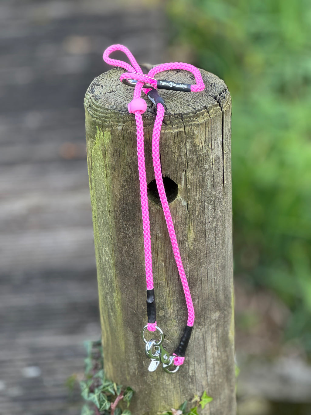 Paws@brooklyn heeling lead with slip collar
