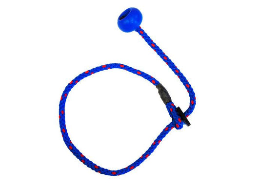 Sporting Saint Training Heeling Lead