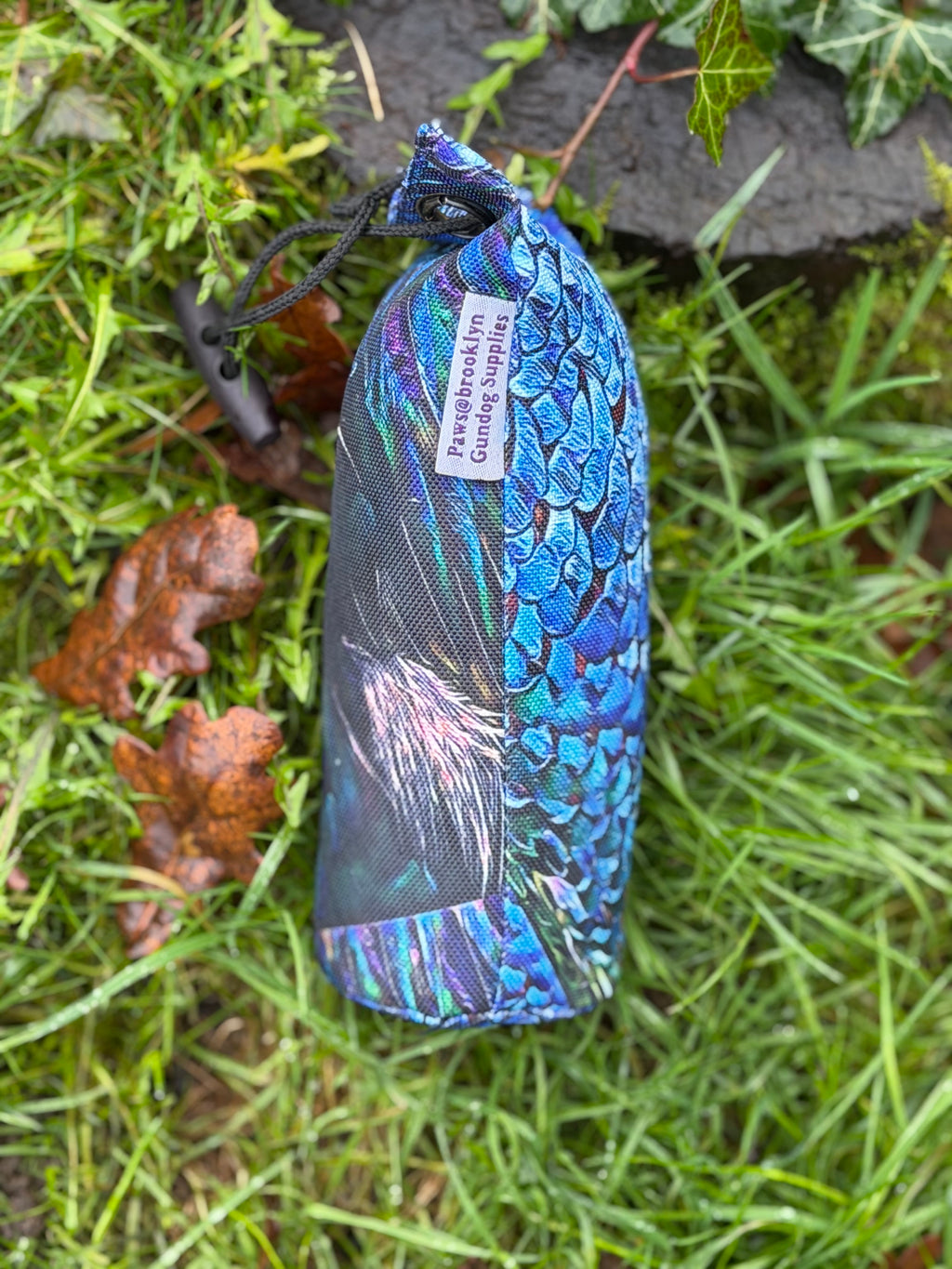 Paws@brooklyn Melanistic Range