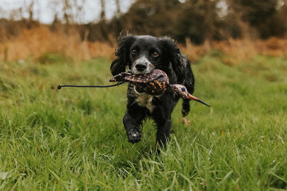 Dog and Field Feather Print Dummies