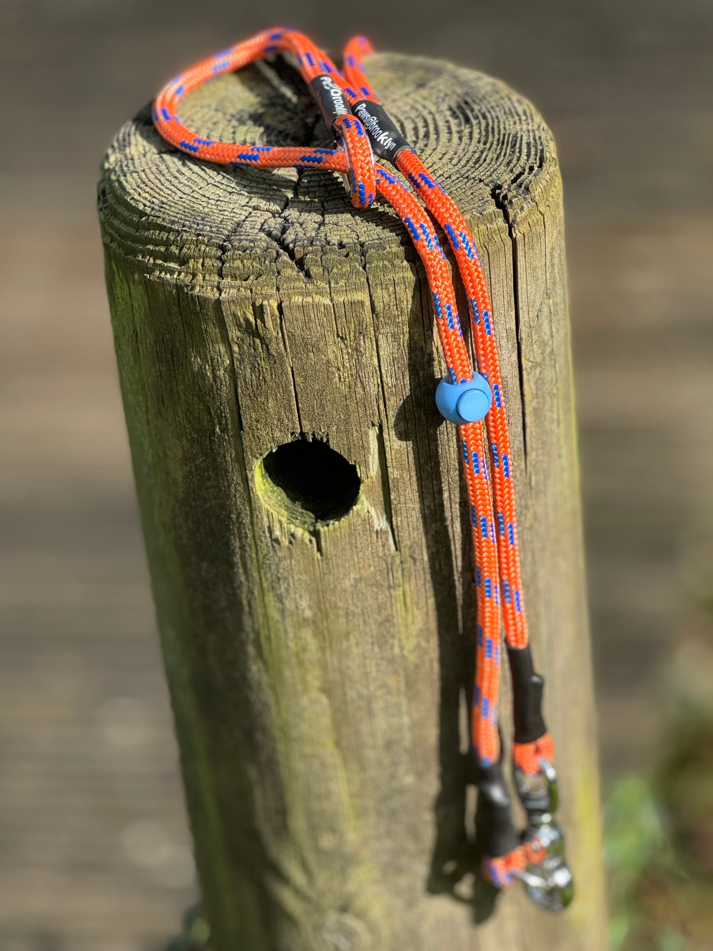 Paws@brooklyn Trigger hook lead with slip collar