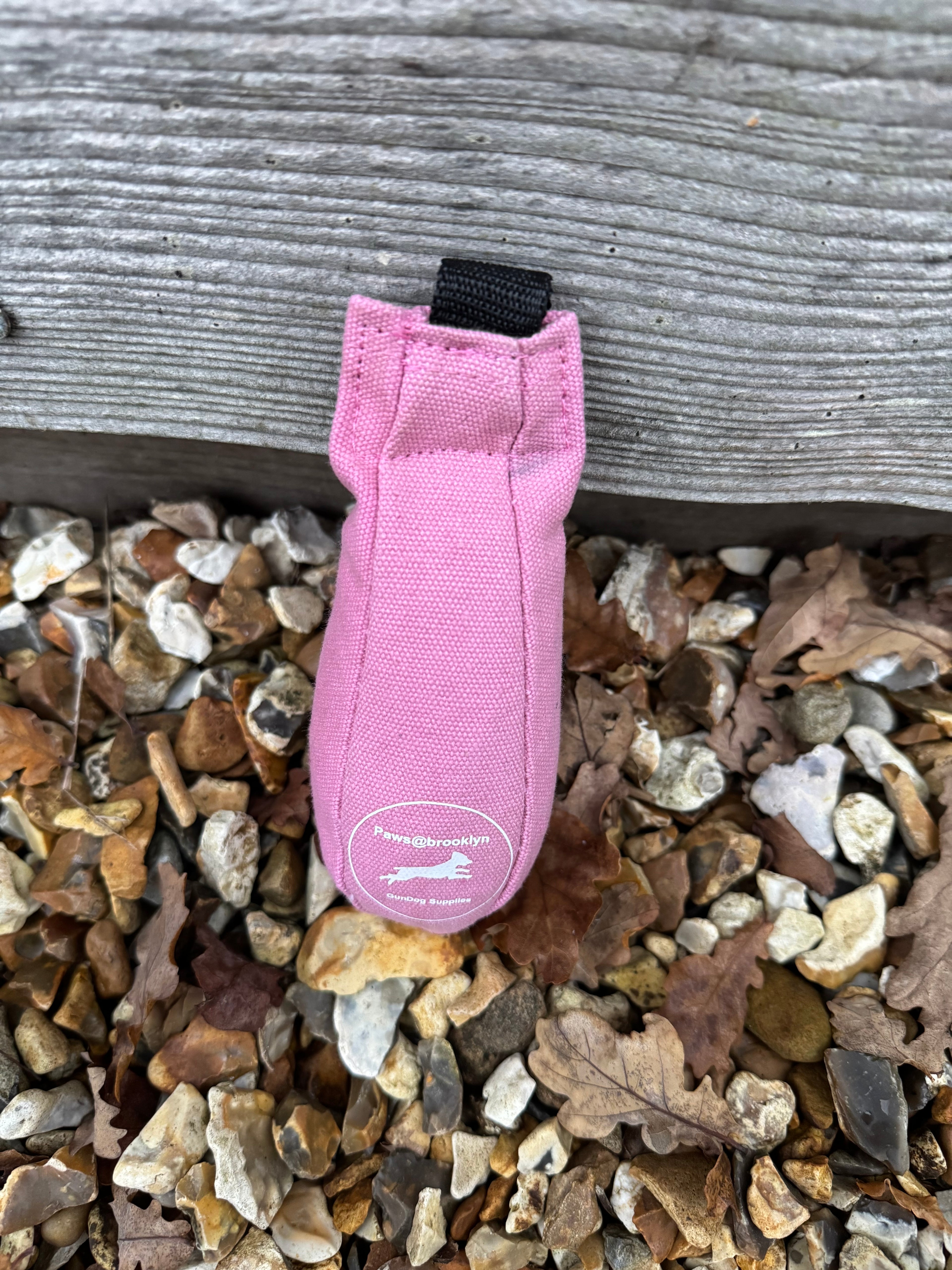 Paws@brooklyn Speedy Dummy Balls