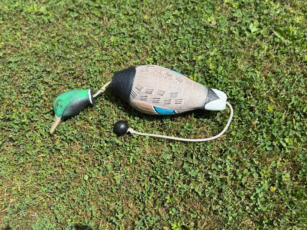 Paws@brooklyn Water/Land Bird Dummies