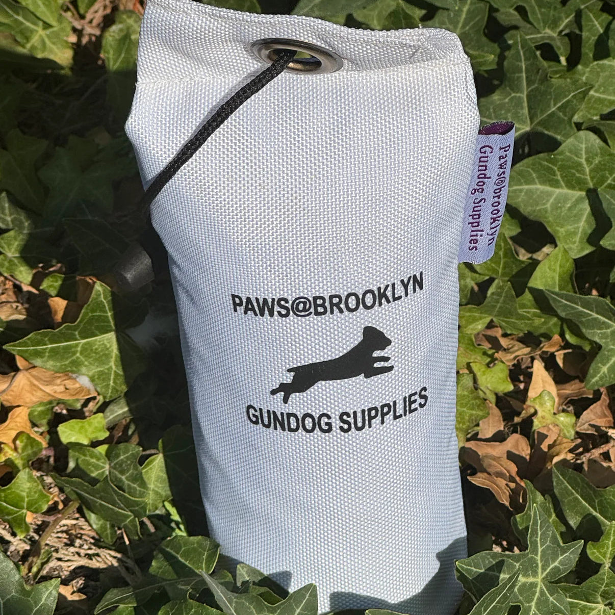 Paws@Brooklyn Dummies