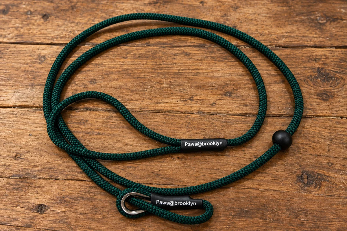 Slip & Go 6mm Slip Leads