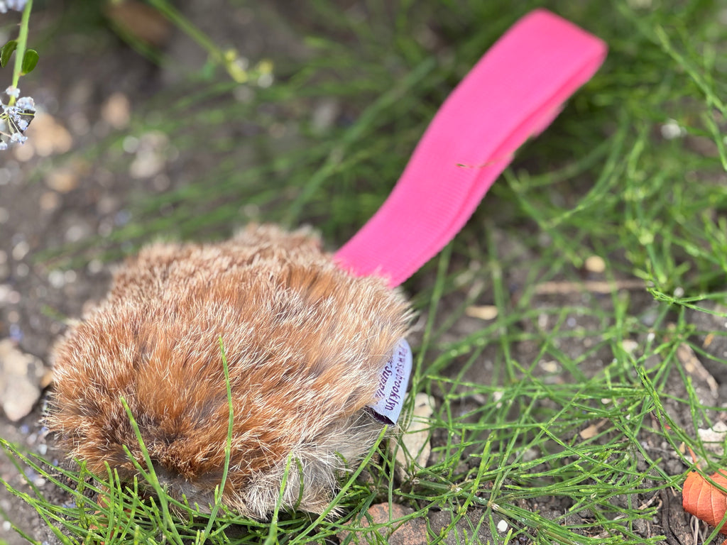 Paws@brooklyn Rabbit Discs with throwing strap