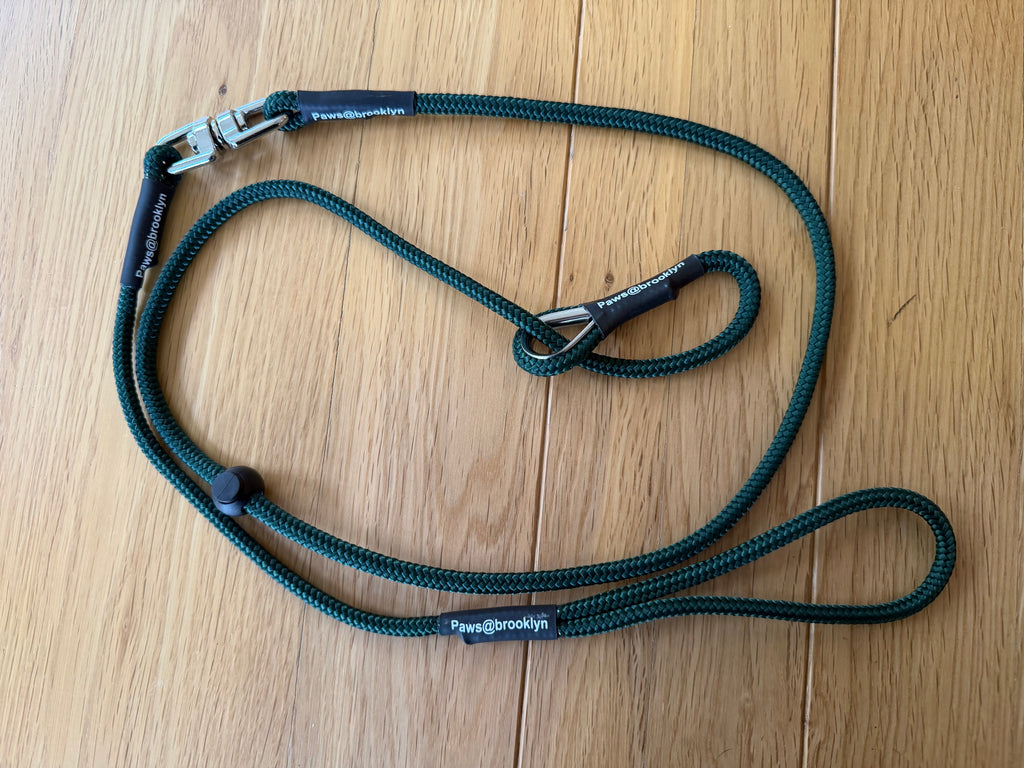 6mm Swivel Lead