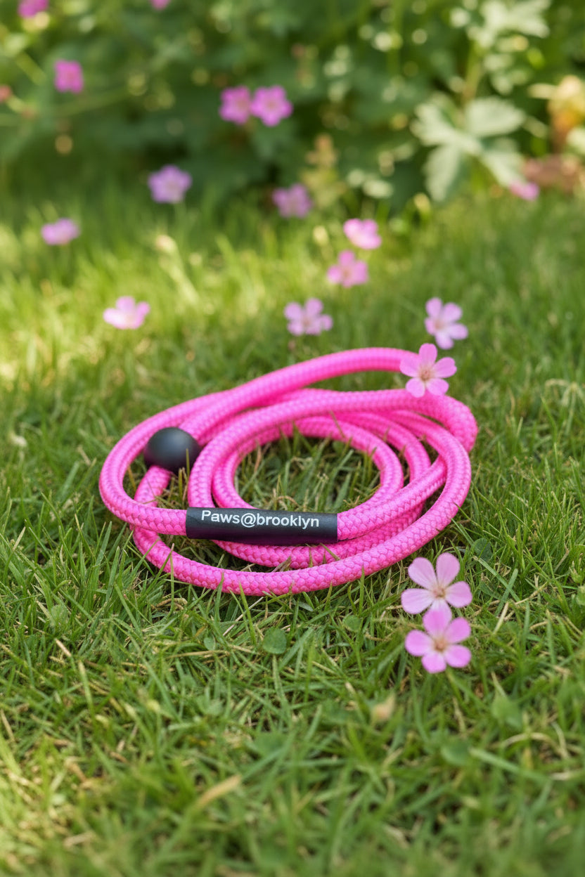 Paws@Brooklyn The Slip & Go 6mm Slip Lead