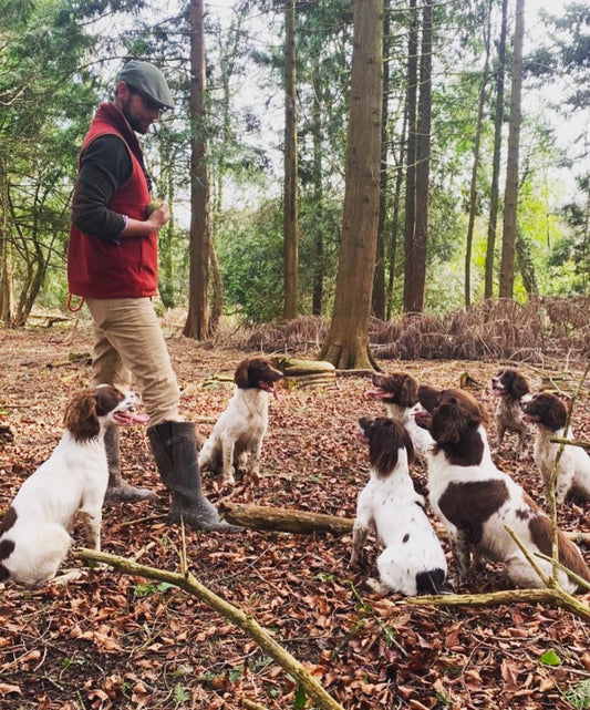 Paws@brooklyn Spaniel Novice Mock Test Training Workshop, 8th March Spaniels 9-12 and Retrievers 12.30-3.30pm