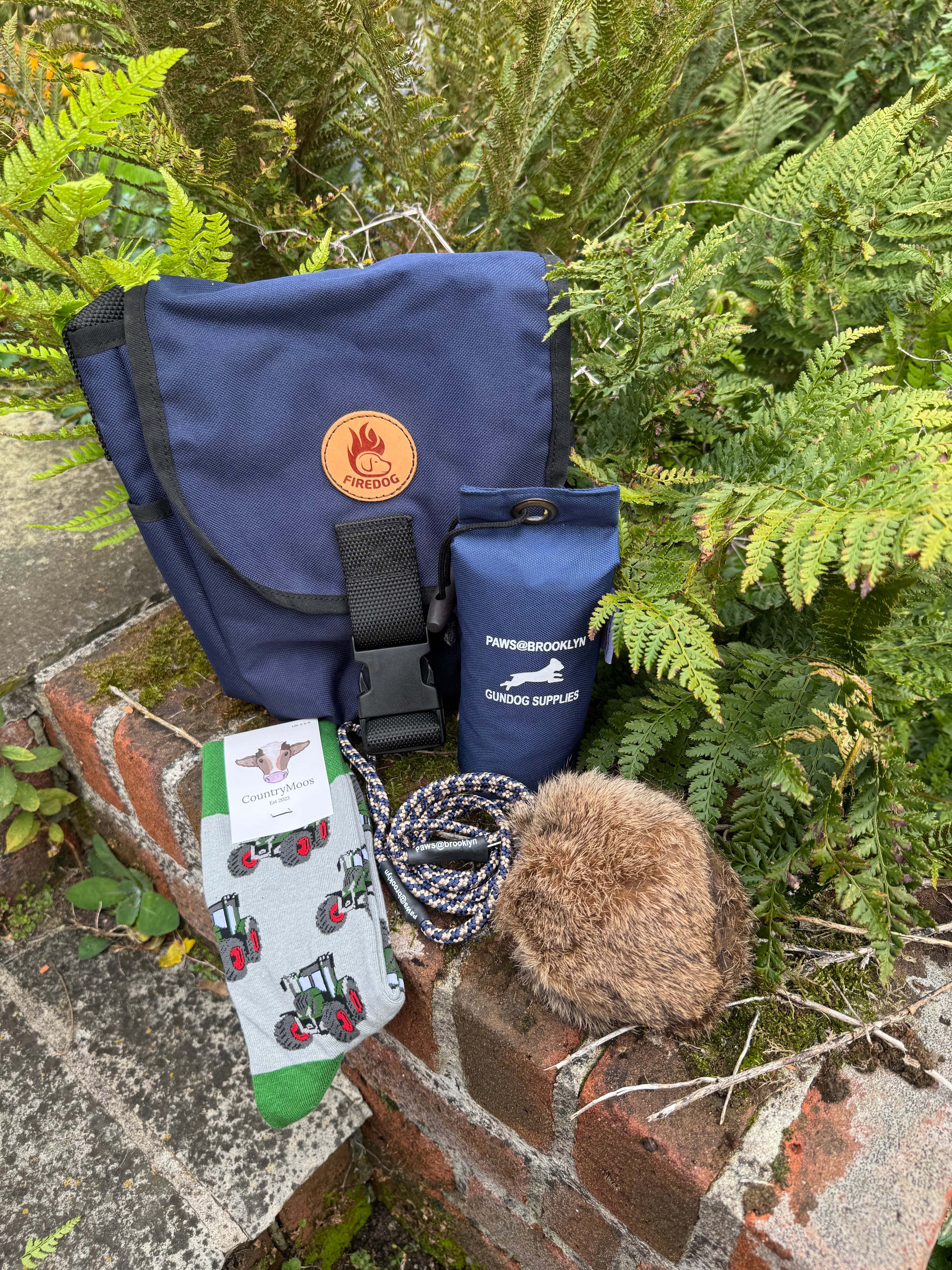 Paws@brooklyn Young Handler Starter Kit