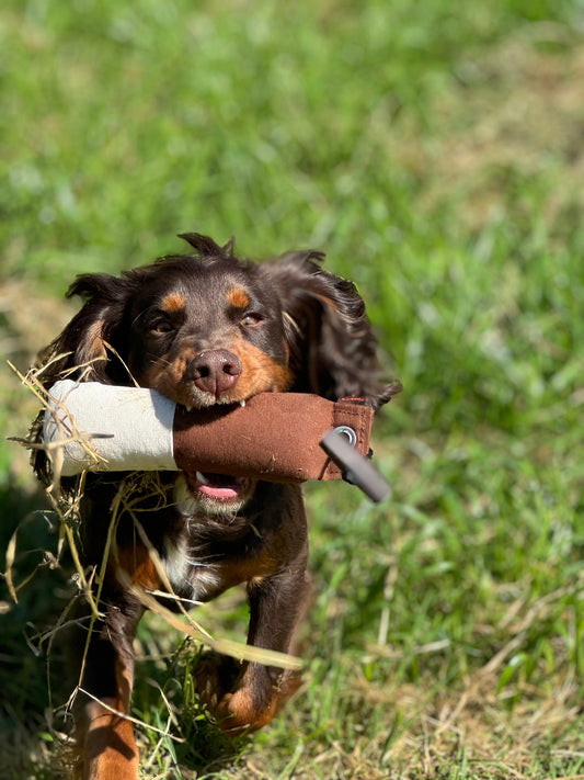 Firedog 300g Dummy