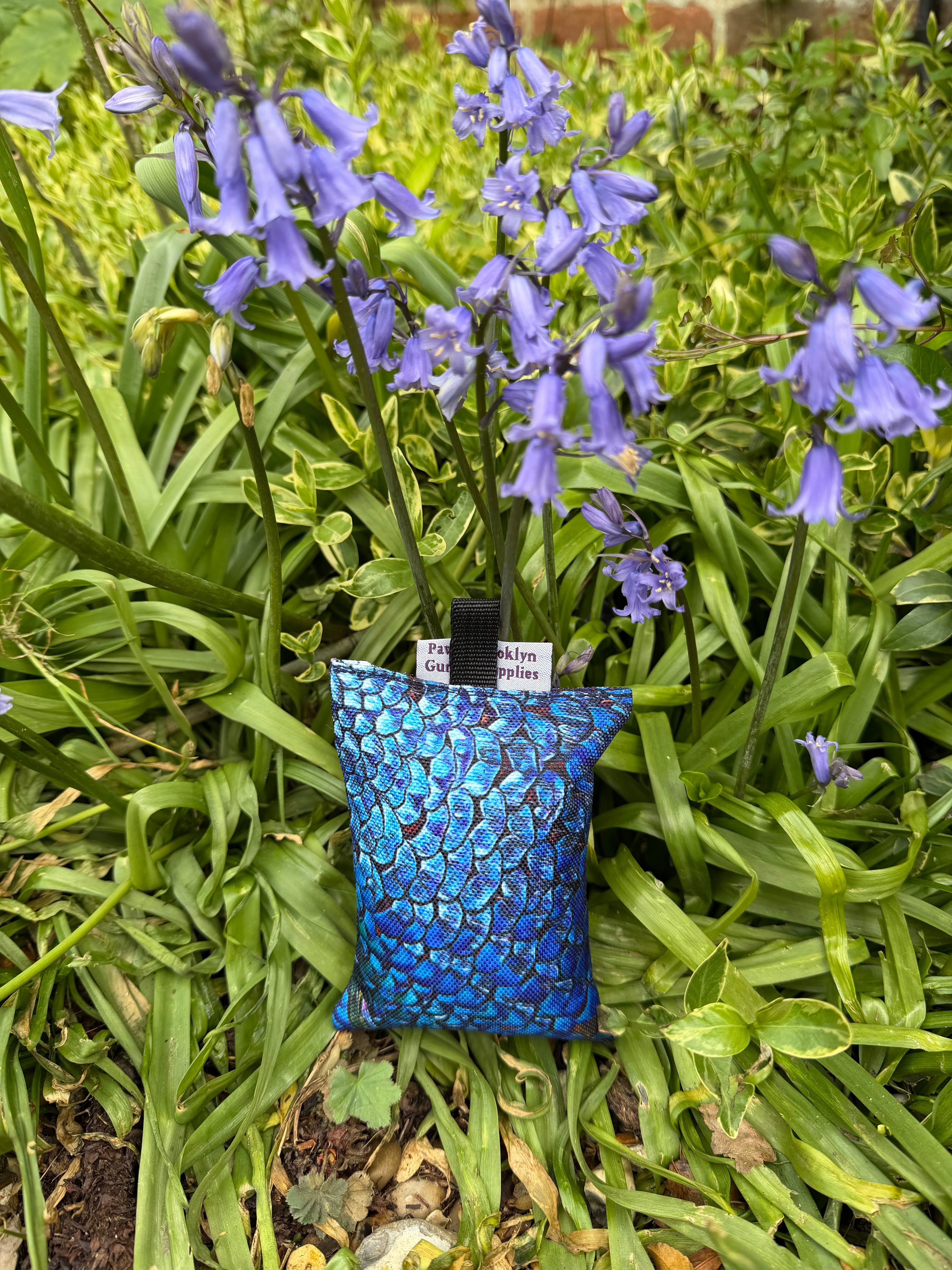 Paws@Brooklyn Puppy Dummies