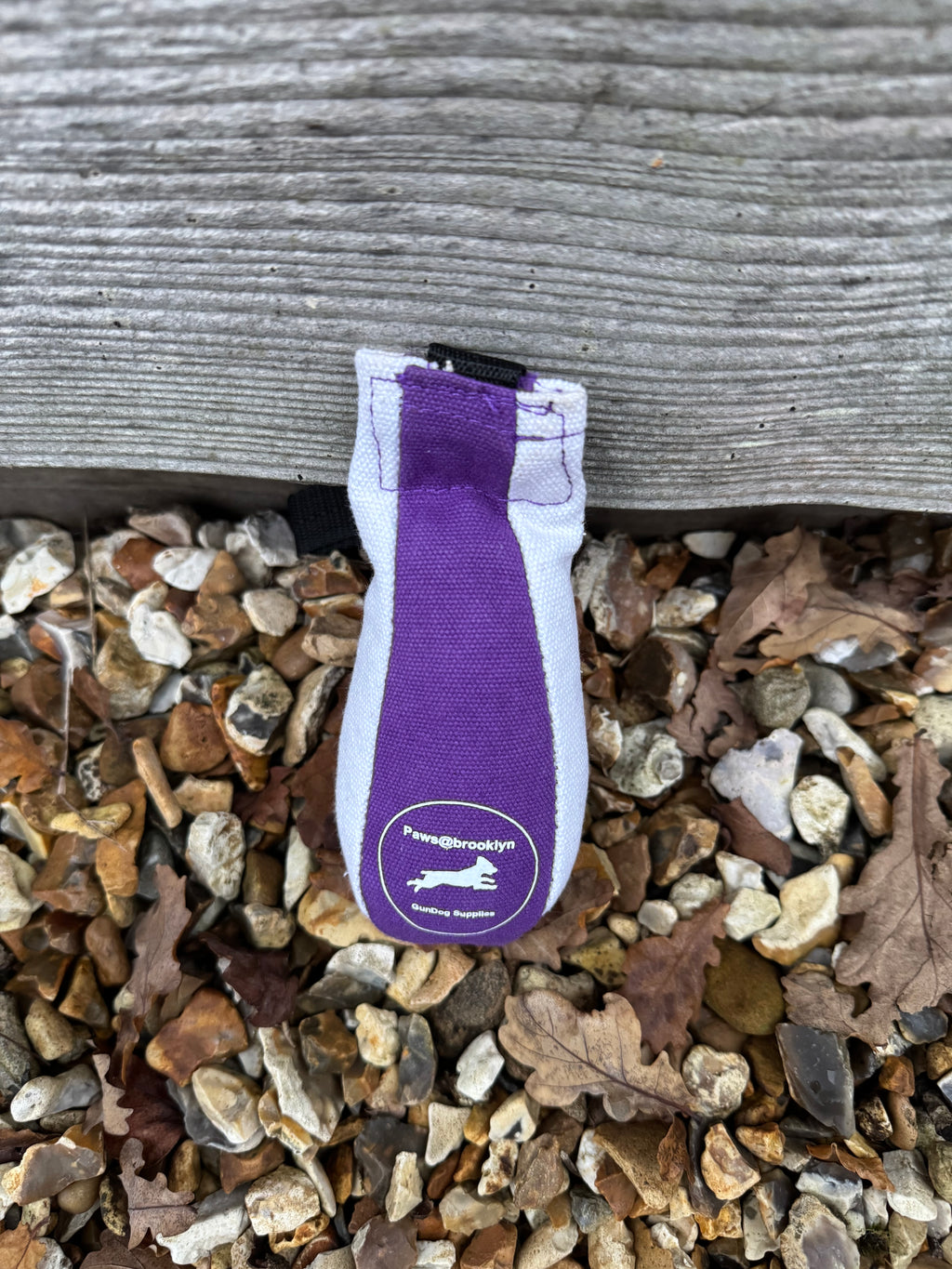 Paws@brooklyn Speedy Dummy Balls