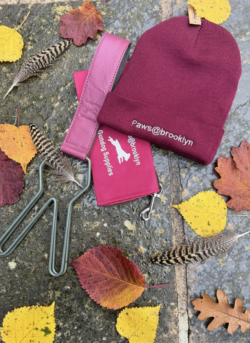 Paws@brooklyn Christmas Special Offer for Handlers