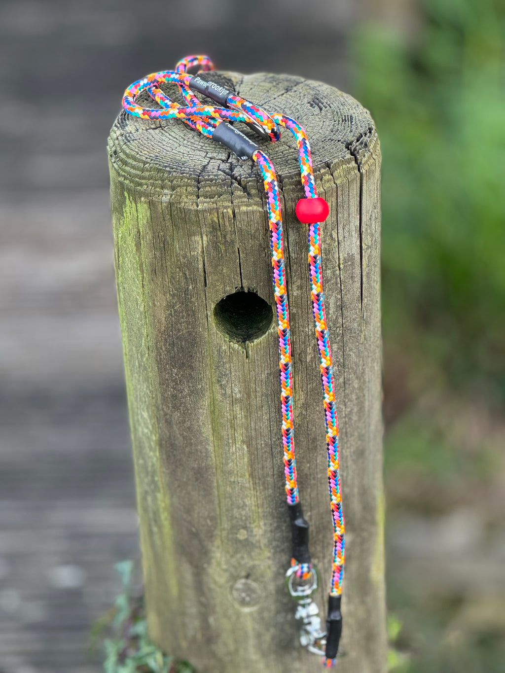 Paws@brooklyn heeling lead with slip collar