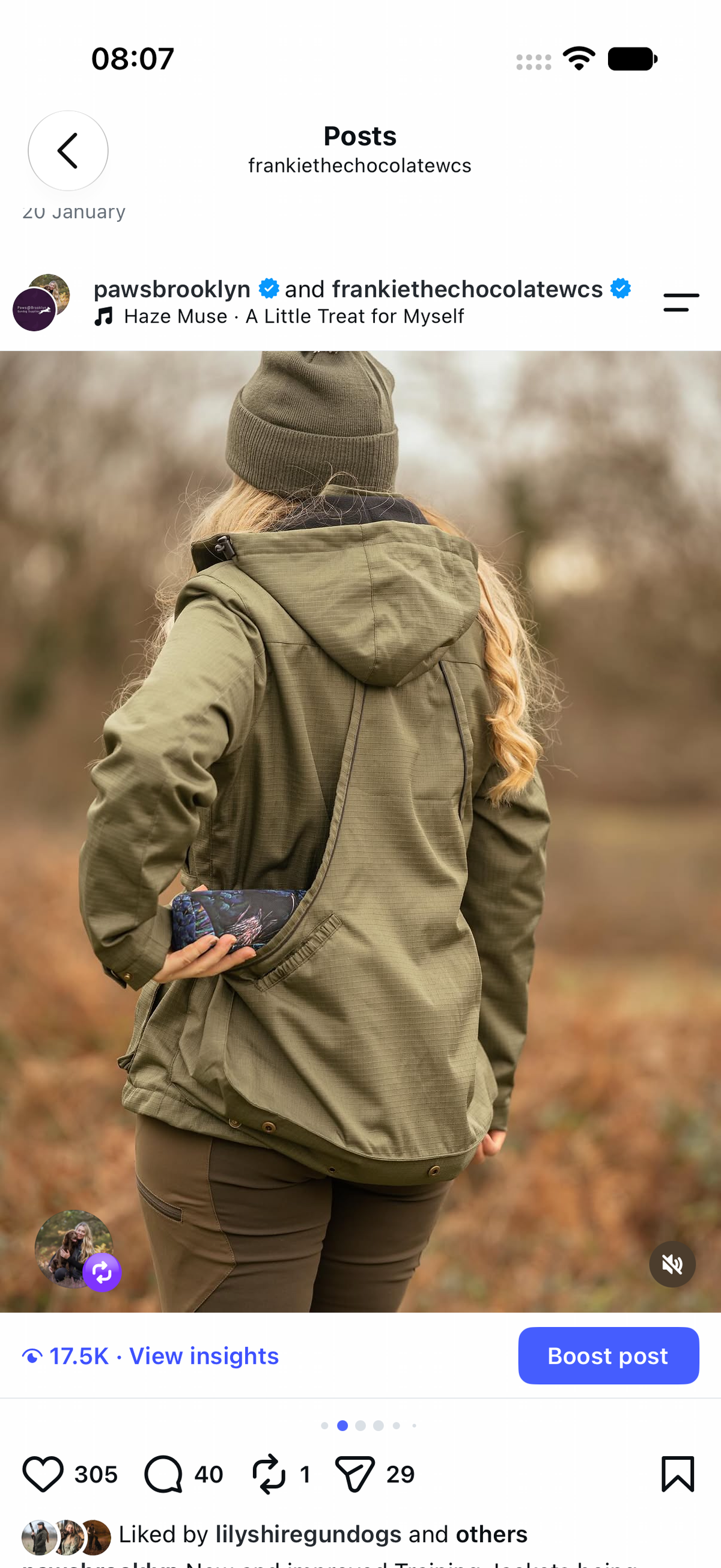 The Valley Training Jacket – Ladies | Paws@Brooklyn