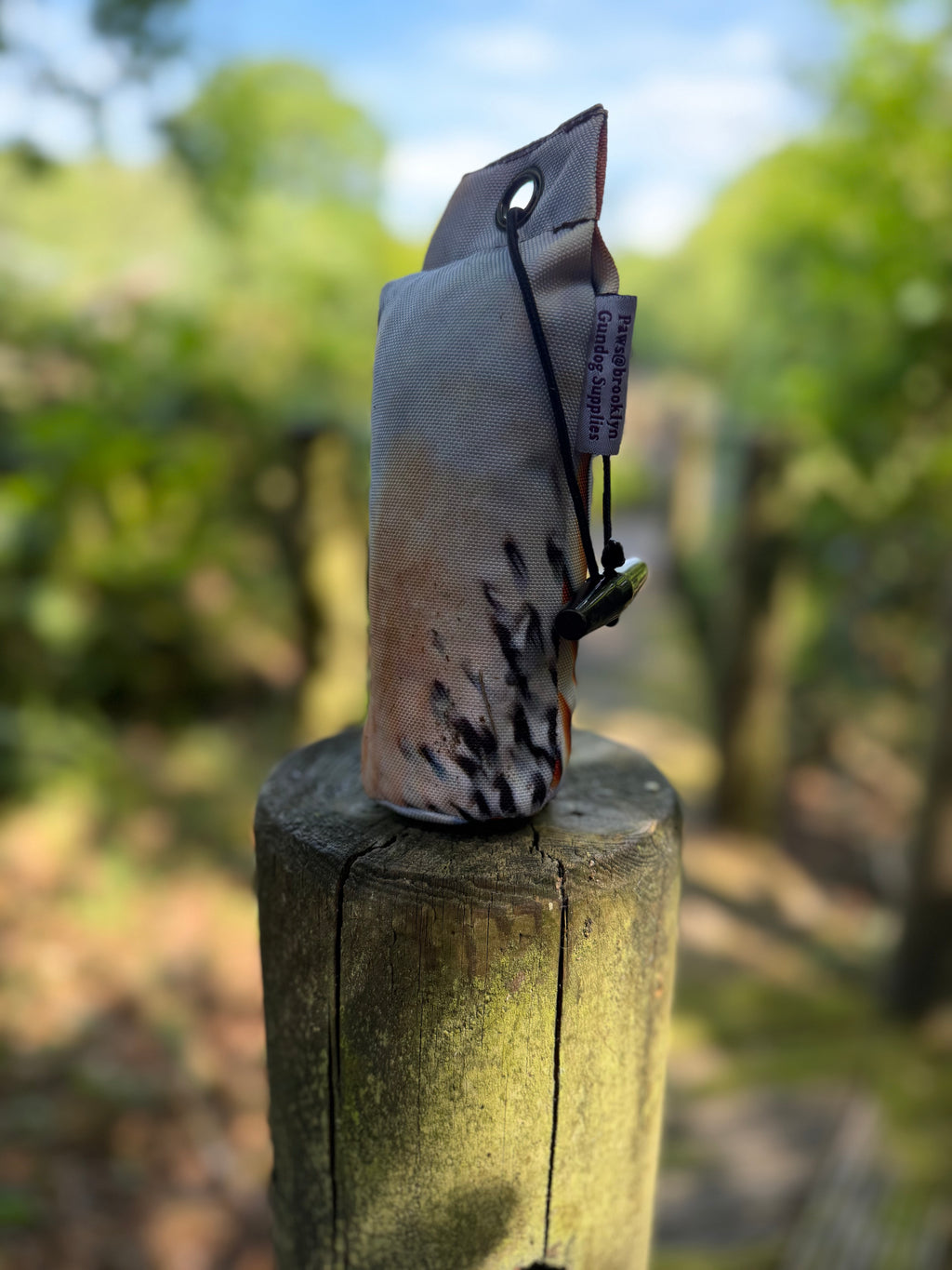 Paws@Brooklyn Game Bird Partridge Dummy