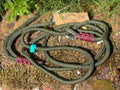 Paws@Brooklyn 150cm Slip Leads