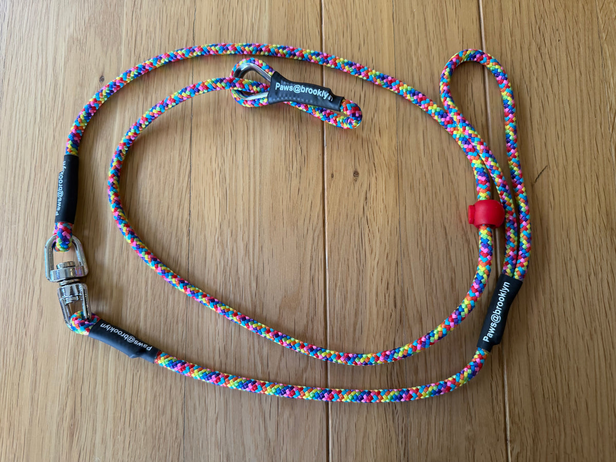 6mm Swivel Lead