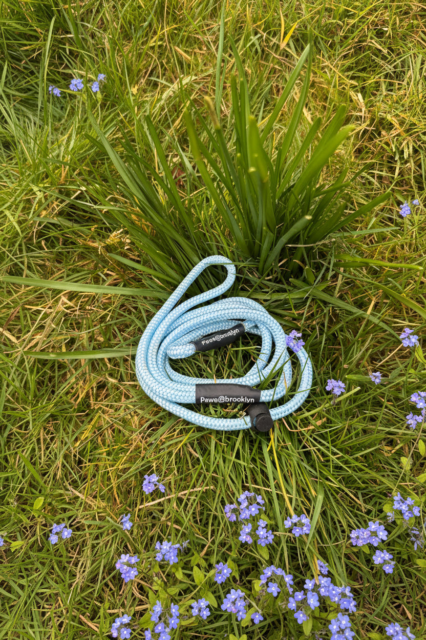 Paws@Brooklyn The Slip & Go 6mm Slip Lead