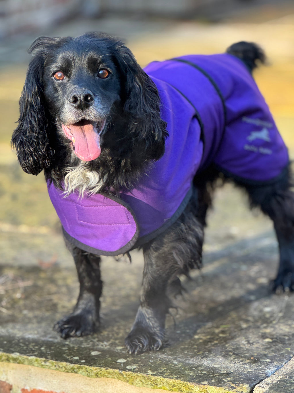 Paws@brooklyn Dog Coats